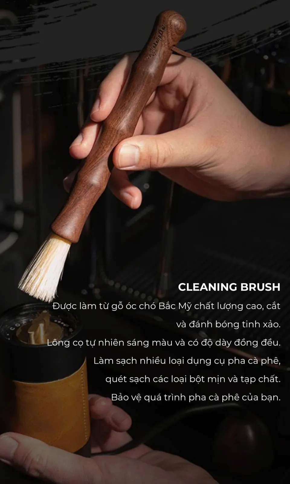 Cọ quét Feepie làm từ gỗ óc chó Bắc Mỹ, lông cọ sáng màu và độ dày đồng đều
