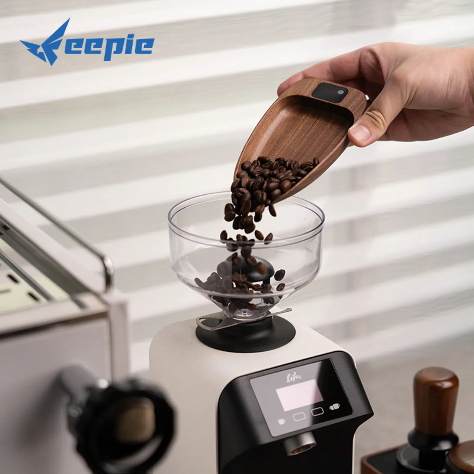 Rót hạt cà phê từ cân khay gỗ Feepie vào cối máy xay espresso