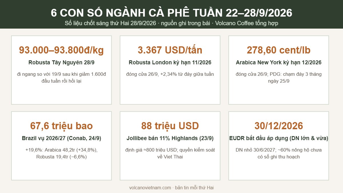Infographic 6 con số ngành cà phê tuần 22–28/9/2026: giá Robusta Tây Nguyên, London, Arabica New York, Brazil vụ kỷ lục, Highlands đổi chủ, EUDR