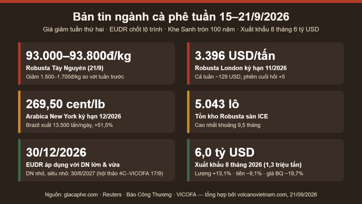 Bản tin ngành cà phê tuần 15–21/9/2026: 6 con số chính