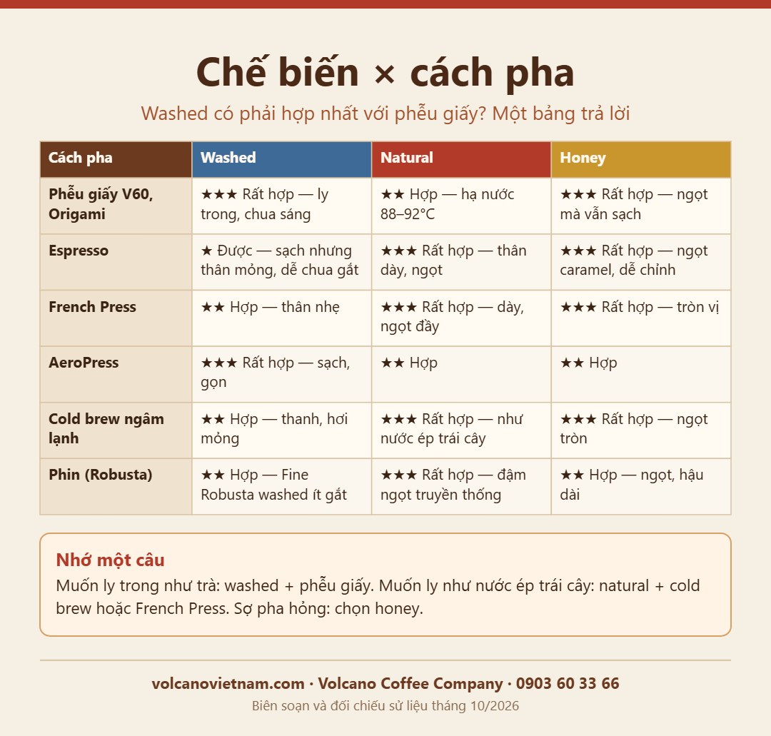 Bảng ghép chế biến washed, natural, honey với cách pha V60, espresso, French Press, AeroPress, cold brew, phin