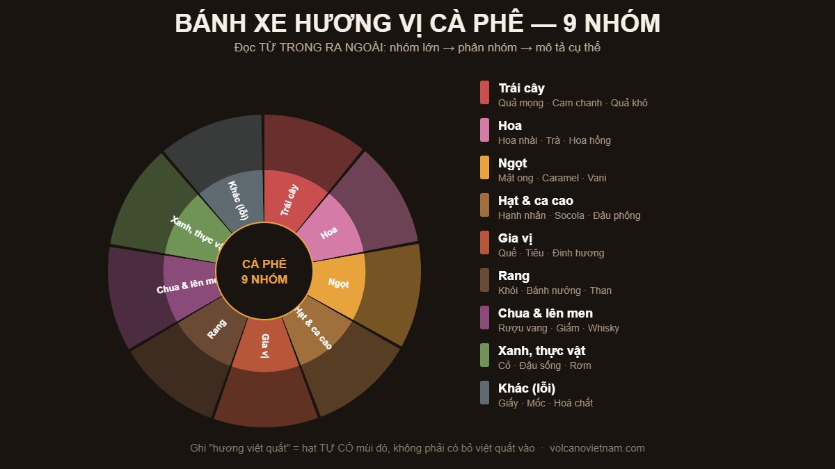 Bánh xe hương vị cà phê với 9 nhóm lớn: trái cây, hoa, ngọt, hạt và ca cao, gia vị, rang, chua lên men, xanh thực vật và nhóm khuyết điểm