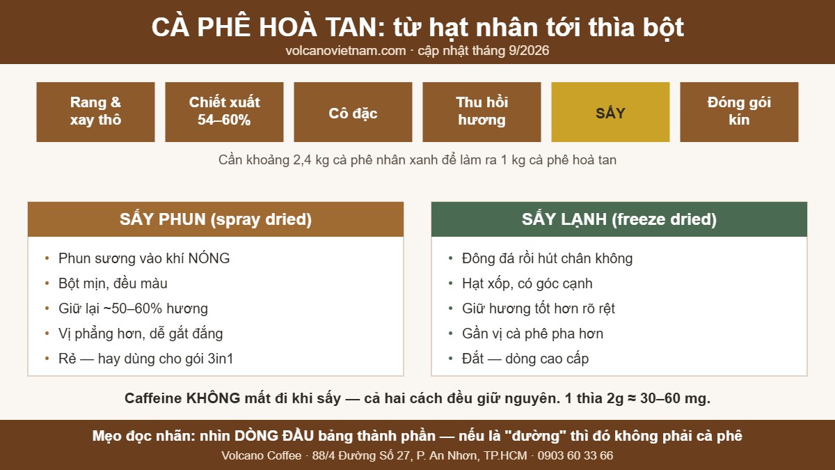 Quy trình làm cà phê hoà tan và so sánh sấy phun với sấy lạnh