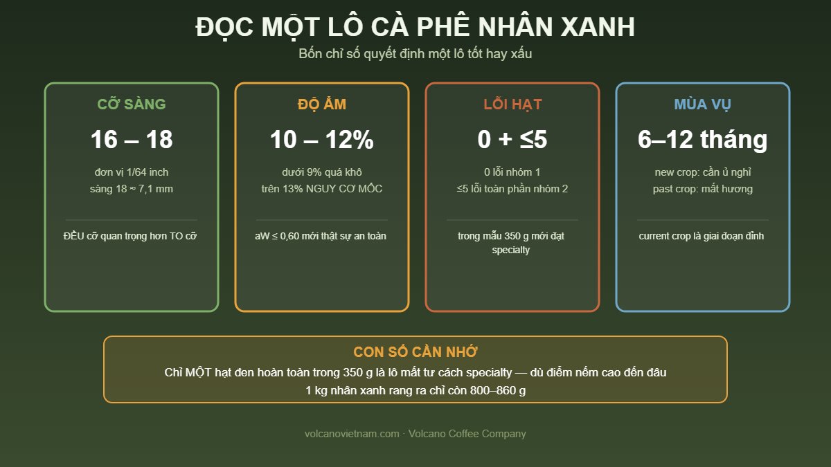 Bốn chỉ số đọc một lô cà phê nhân xanh: cỡ sàng 16-18, độ ẩm 10-12%, lỗi hạt 0 nhóm 1, mùa vụ current crop