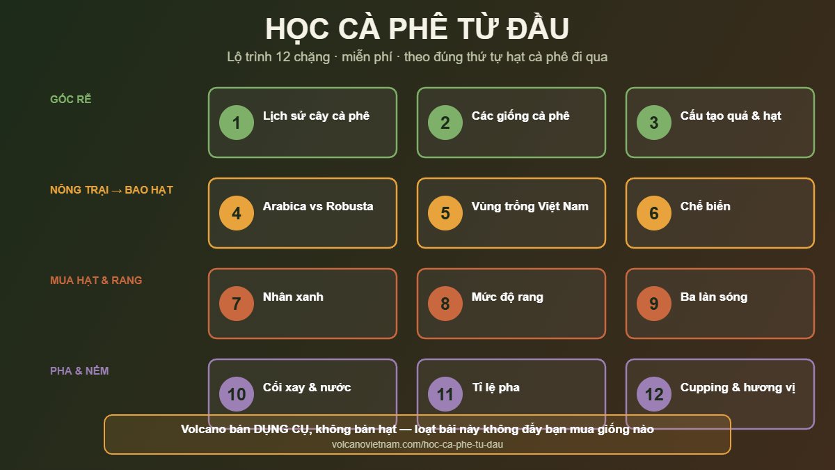 Lộ trình Học cà phê từ đầu 12 chặng của Volcano: gốc rễ, từ nông trại tới bao hạt, mua hạt và rang, pha và nếm