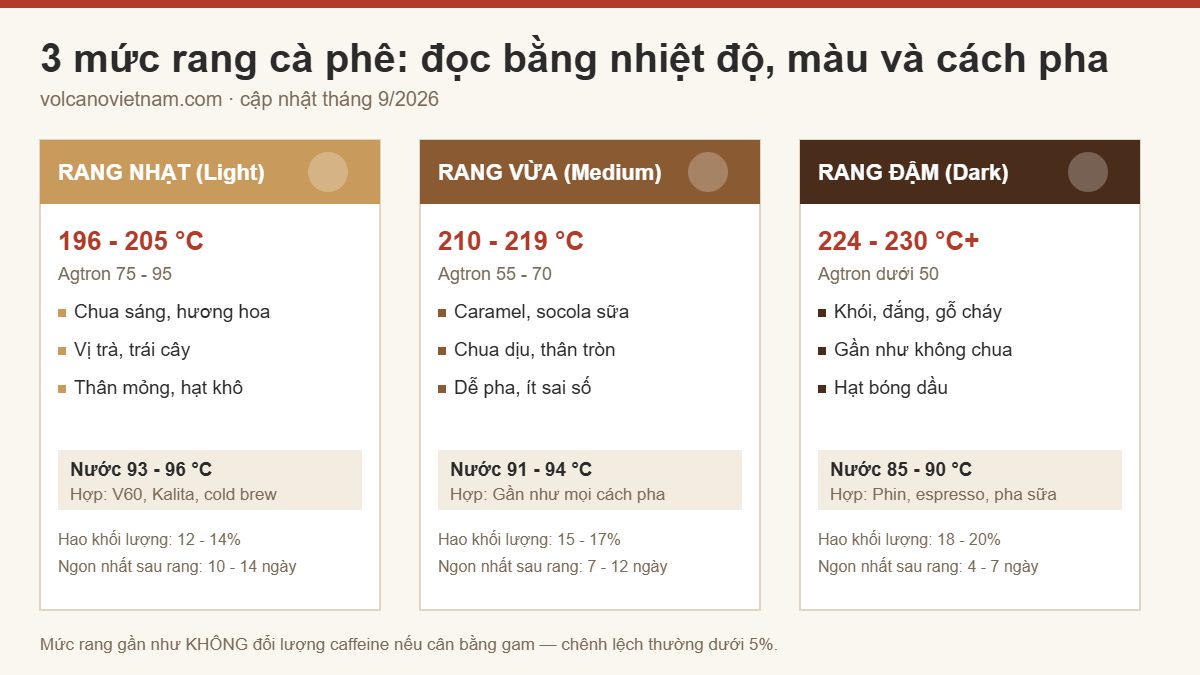 So sánh 3 mức rang cà phê light medium dark: nhiệt độ, Agtron, vị và cách pha