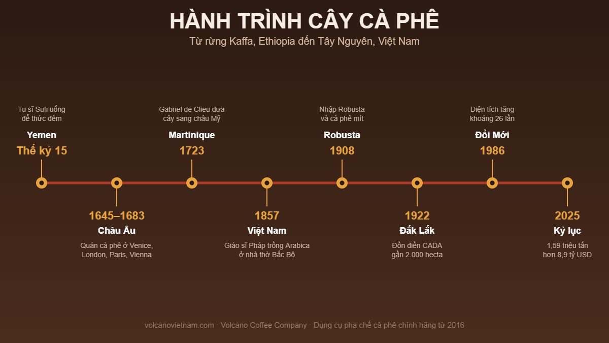 Mốc thời gian lịch sử cây cà phê từ Ethiopia thế kỷ 15 đến Việt Nam 1857 và kỷ lục xuất khẩu 2025