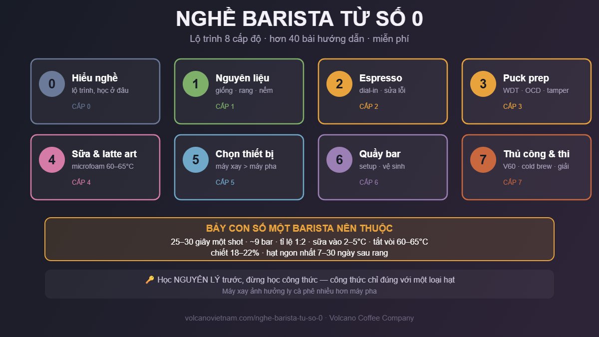 Lộ trình nghề barista 8 cấp độ: hiểu nghề, nguyên liệu, espresso, puck prep, sữa và latte art, chọn thiết bị, quầy bar, pha thủ công và thi đấu
