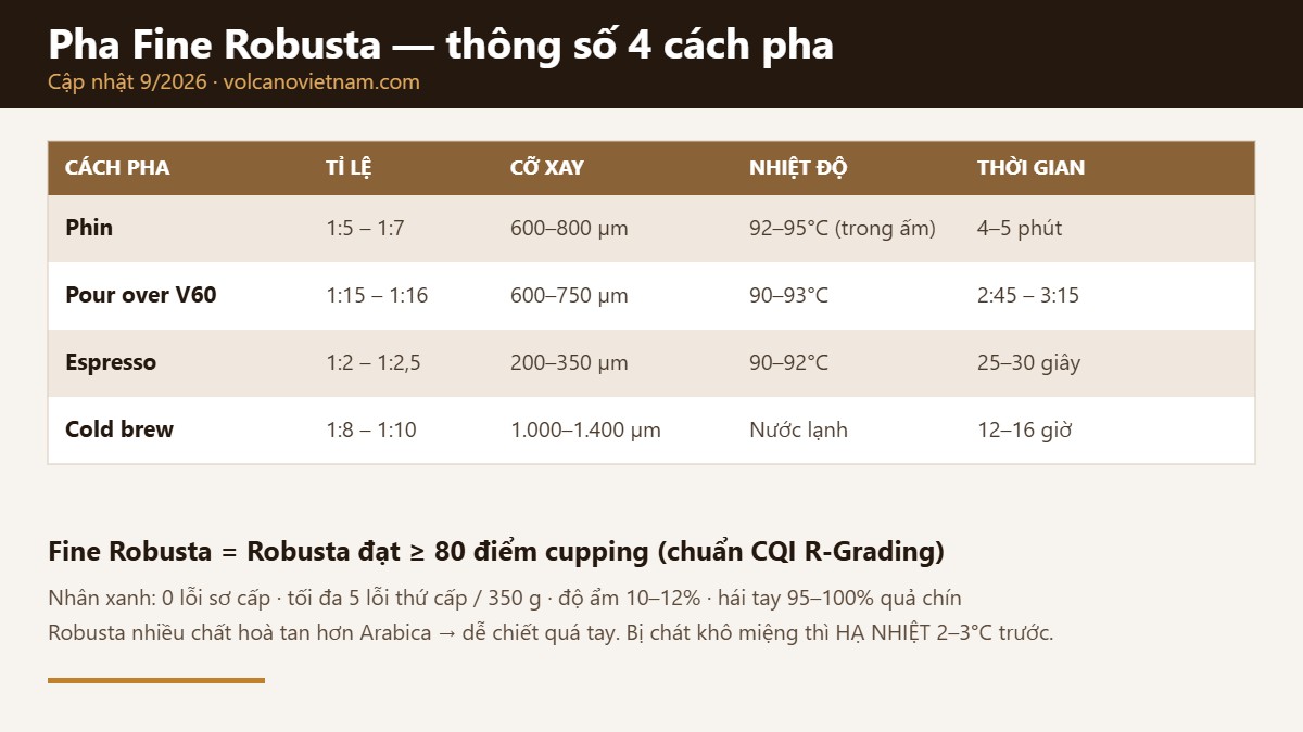 Bảng thông số pha Fine Robusta: phin, pour over V60, espresso và cold brew — tỉ lệ, cỡ xay, nhiệt độ và thời gian