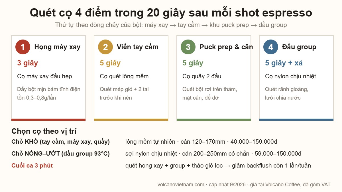 Infographic quét cọ 4 điểm trong 20 giây sau mỗi shot espresso: họng máy xay, viền tay cầm, puck prep, đầu group