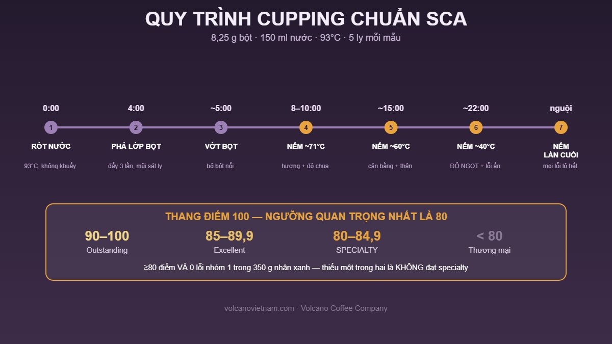 Quy trình cupping chuẩn SCA: mốc thời gian 8 bước từ rót nước 93 độ C, phá lớp bột phút thứ 4 đến nếm ở các mức nhiệt độ, và thang điểm 100 với ngưỡng 80