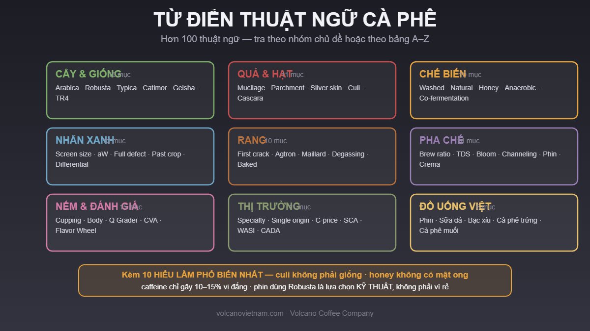 Từ điển thuật ngữ cà phê chia 9 nhóm: cây và giống, quả và hạt, chế biến, nhân xanh, rang, pha chế, nếm và đánh giá, thị trường, đồ uống Việt Nam