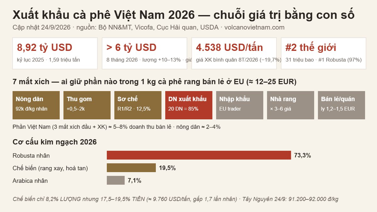 Infographic xuất khẩu cà phê Việt Nam 2026: kim ngạch, chuỗi giá trị 7 mắt xích, cơ cấu Robusta – chế biến – Arabica