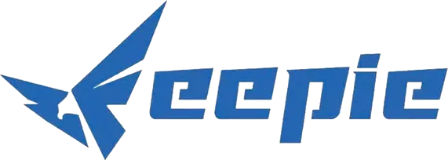 Logo FEEPIE