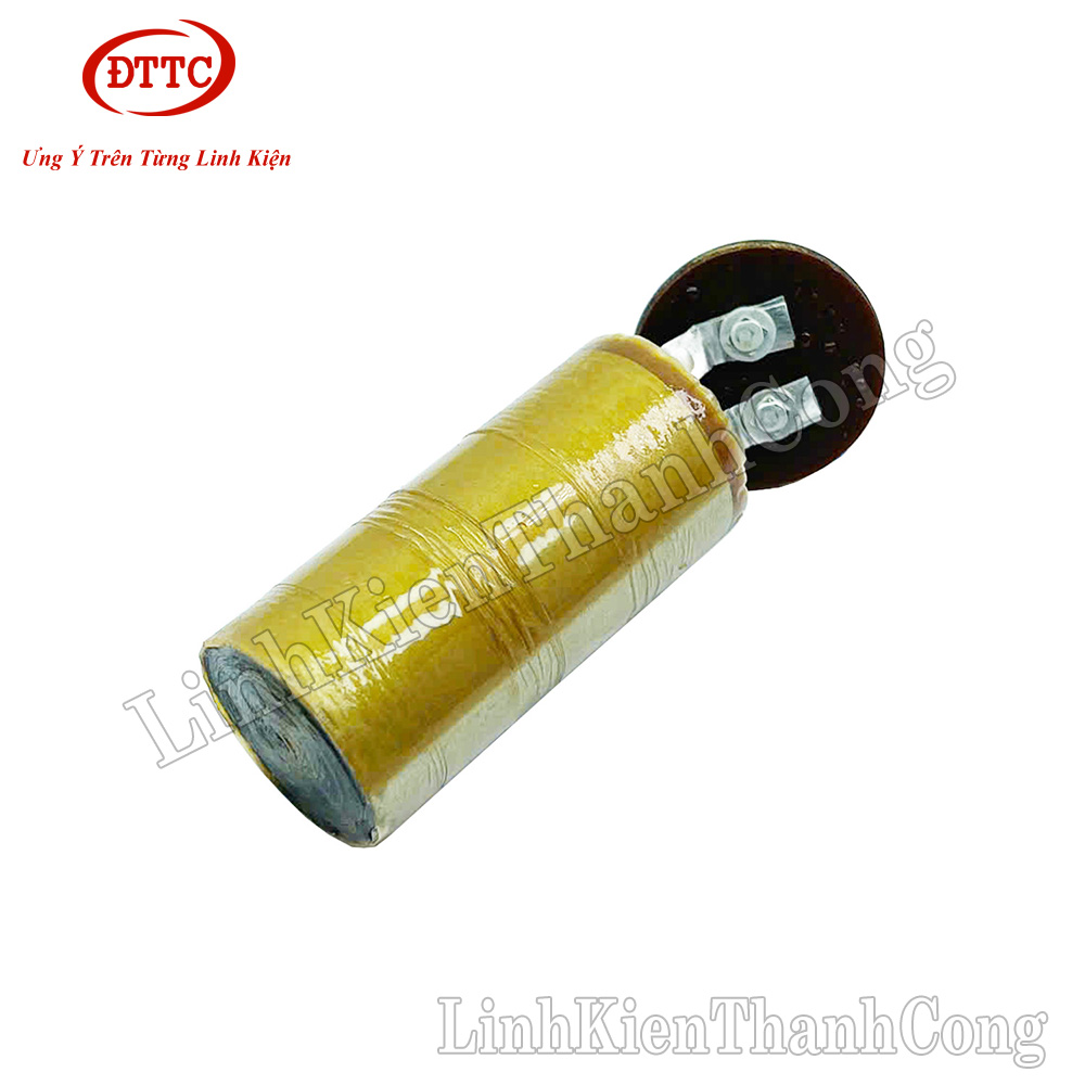 2 Pezzi Condensatore Elettrolitico Radiale Vishay BC 135 1000uF 16V 10x30mm