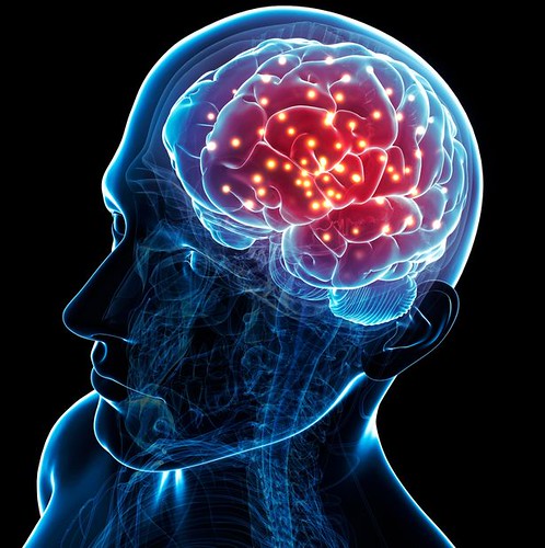 MỐI LIÊN HỆ GIỮA KHẢ NĂNG CỦA CON NGƯỜI VỚI CẤU TRÚC NÃO BỘ