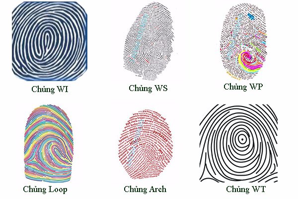 DẠY CON THEO TỪNG CHỦNG VÂN TAY