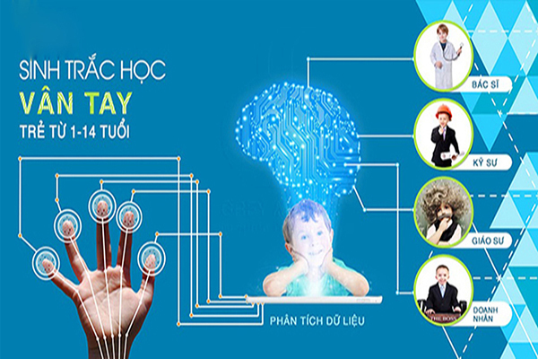 Sinh trắc vân tay có ý nghĩa gì trong định hướng nghề nghiệp cho trẻ