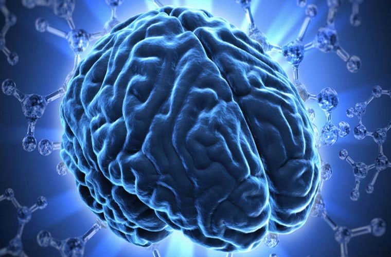 10 SỰ THẬT THÚ VỊ VỀ BỘ NÃO  (PHẦN 2)