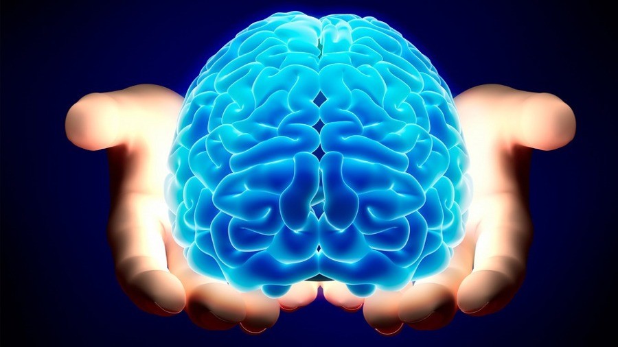 Những điều có thể bạn chưa biết về trí thông minh con người