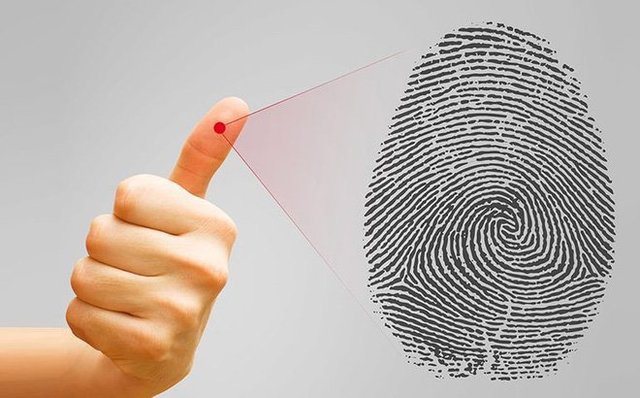 Dấu vân tay của trẻ có thay đổi khi lớn lên?