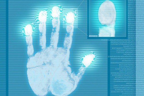 Sinh trắc vân tay có giống với bói toán không?