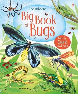 Big Book of Bugs by Usborne - Bookworm Hanoi