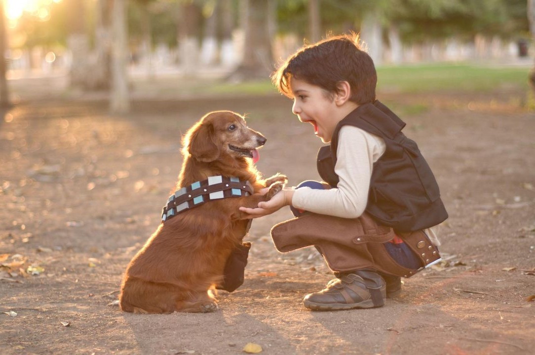 Nhấn vào ảnh để phóng to TÁC HẠI CỦA CỦA LÔNG ĐỘNG VẬT TỚI SỨC KHỎE CỦA TRẺ NHỎ