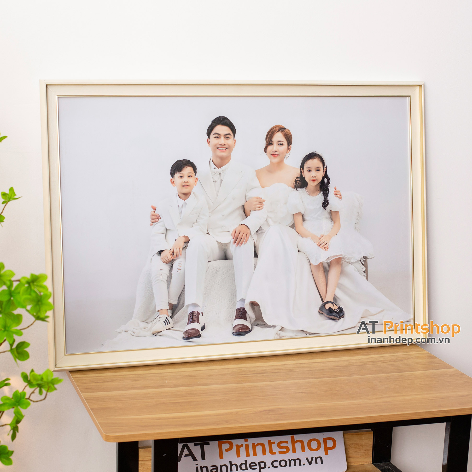 Ảnh Tráng Gương Khung Trắng Bản 4,5cm – Khung Ảnh Treo Tường Hiện Đại