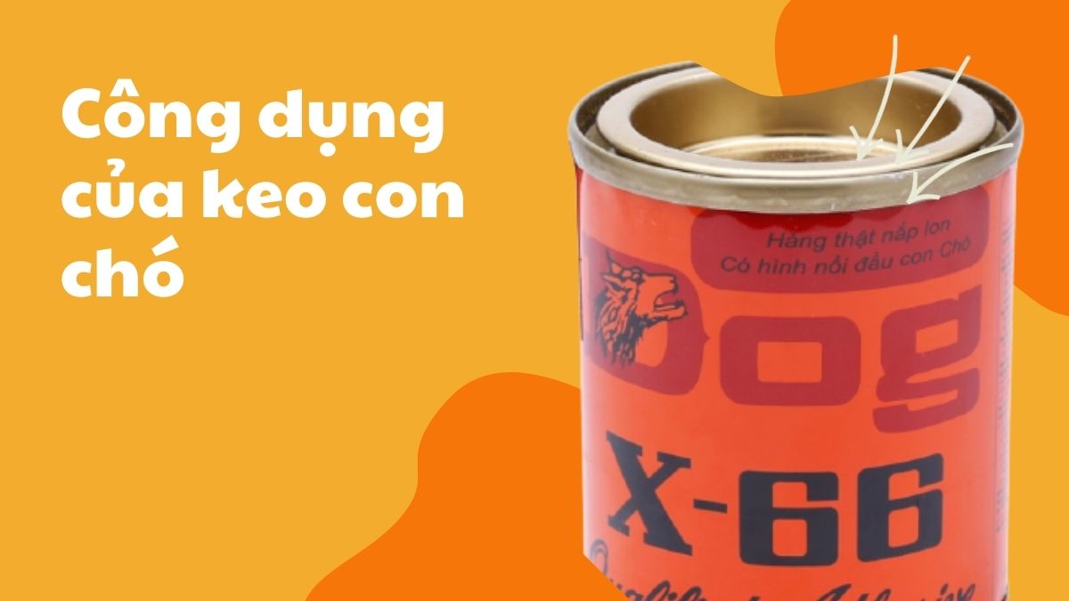 Công dụng của keo con chó trong đời sống hằng ngày là gì?