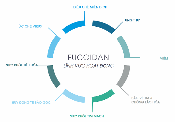 4 cơ chế chống ung thư của Fucoidan kỳ diệu như thế nào?