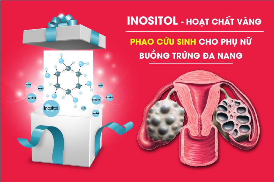 INOSITOL -  INOSITOL -