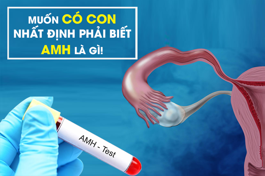 CHỈ SỐ AMH - MUỐN CÓ CON PHẢI BIẾT AMH LÀ GÌ?