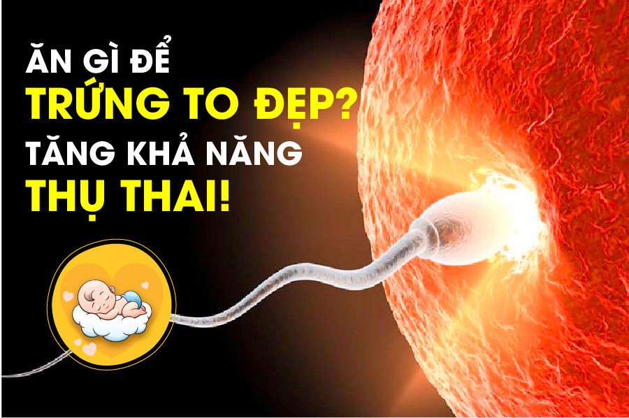 ĂN GÌ ĐỂ TRỨNG TO ĐẸP, ĐẬU THAI 1 PHÁT ĂN NGAY ❓