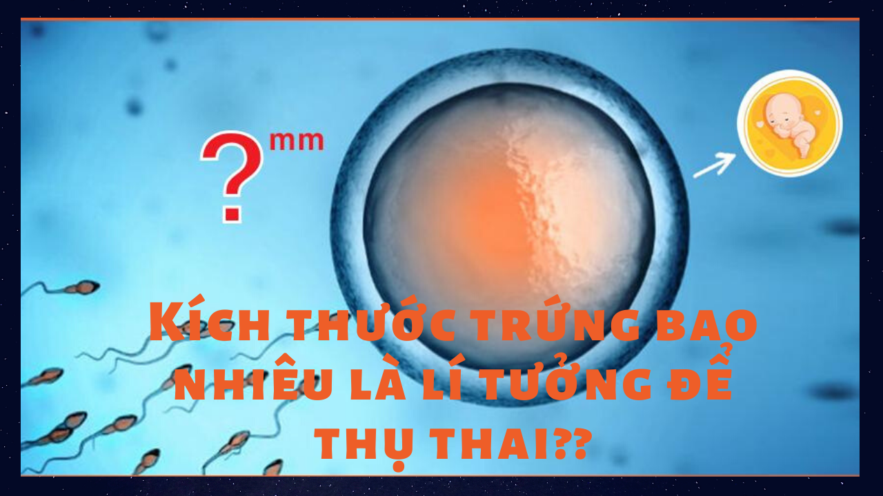KÍCH THƯỚC TRỨNG LÝ TƯỞNG ĐỂ THỤ THAI