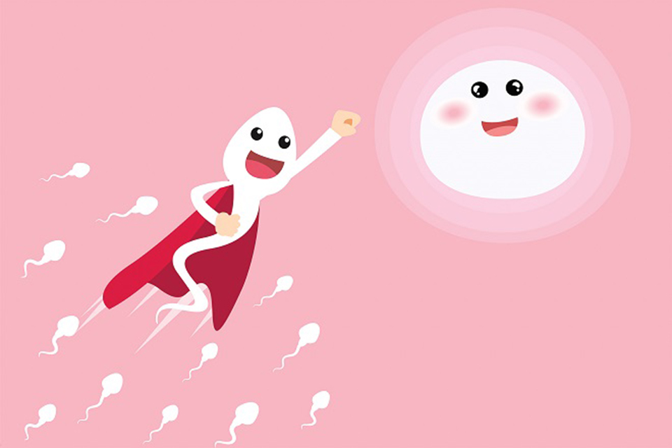 NAM GIỚI ĂN GÌ ĐỂ TĂNG LƯỢNG TINH TRÙNG Y GIÚP SINH CON TRAI?