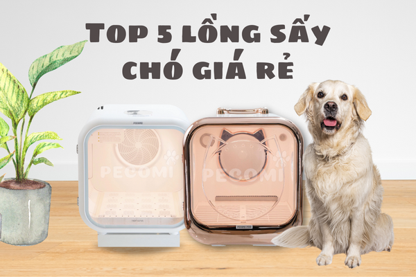 Top 5 Lồng sấy chó giá rẻ - Sấy khô lông nhanh chóng và hiệu quả