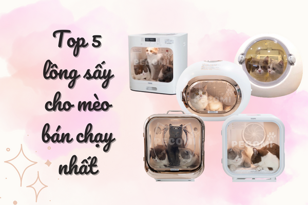 Top 5 Lồng sấy cho mèo đa dạng mẫu mã, chất lượng cao