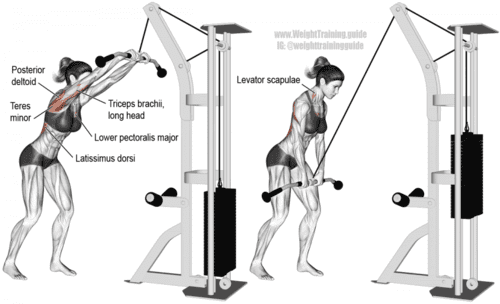 cable straight arm pull down