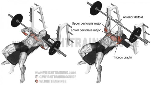 close grip barbell bench press