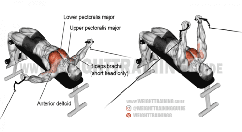 decline cable fly