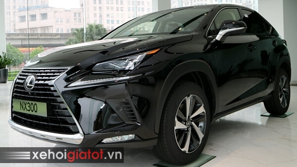 Xe Lexus NX màu đen