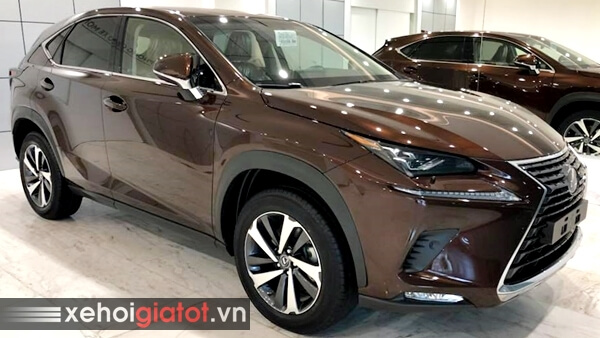 Xe Lexus NX màu nâu