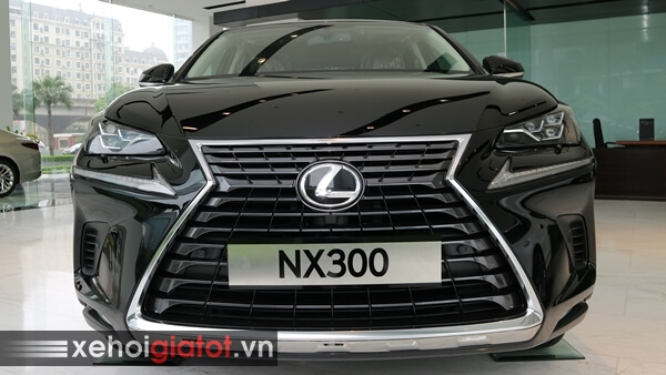 Phần đầu xe Lexus NX 300