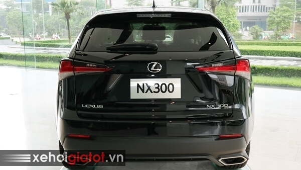 Đuôi sau xe Lexus NX 300