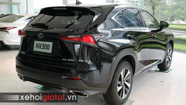 Phần đuôi xe Lexus NX 300