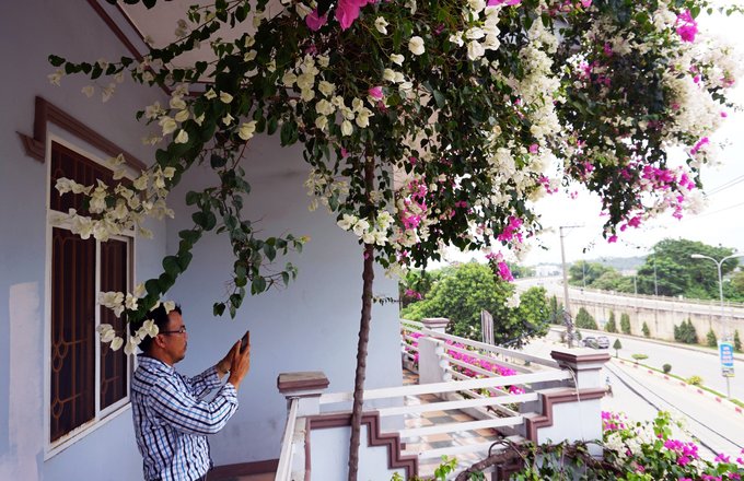 Ngôi nhà 3 tầng phủ đầy hoa giấy ở Quảng Ngãi