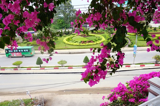 Ngôi nhà 3 tầng phủ đầy hoa giấy ở Quảng Ngãi