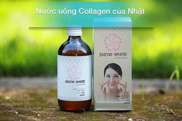 KHÔNG THỂ KHÔNG BIẾT VỀ COLLAGEN