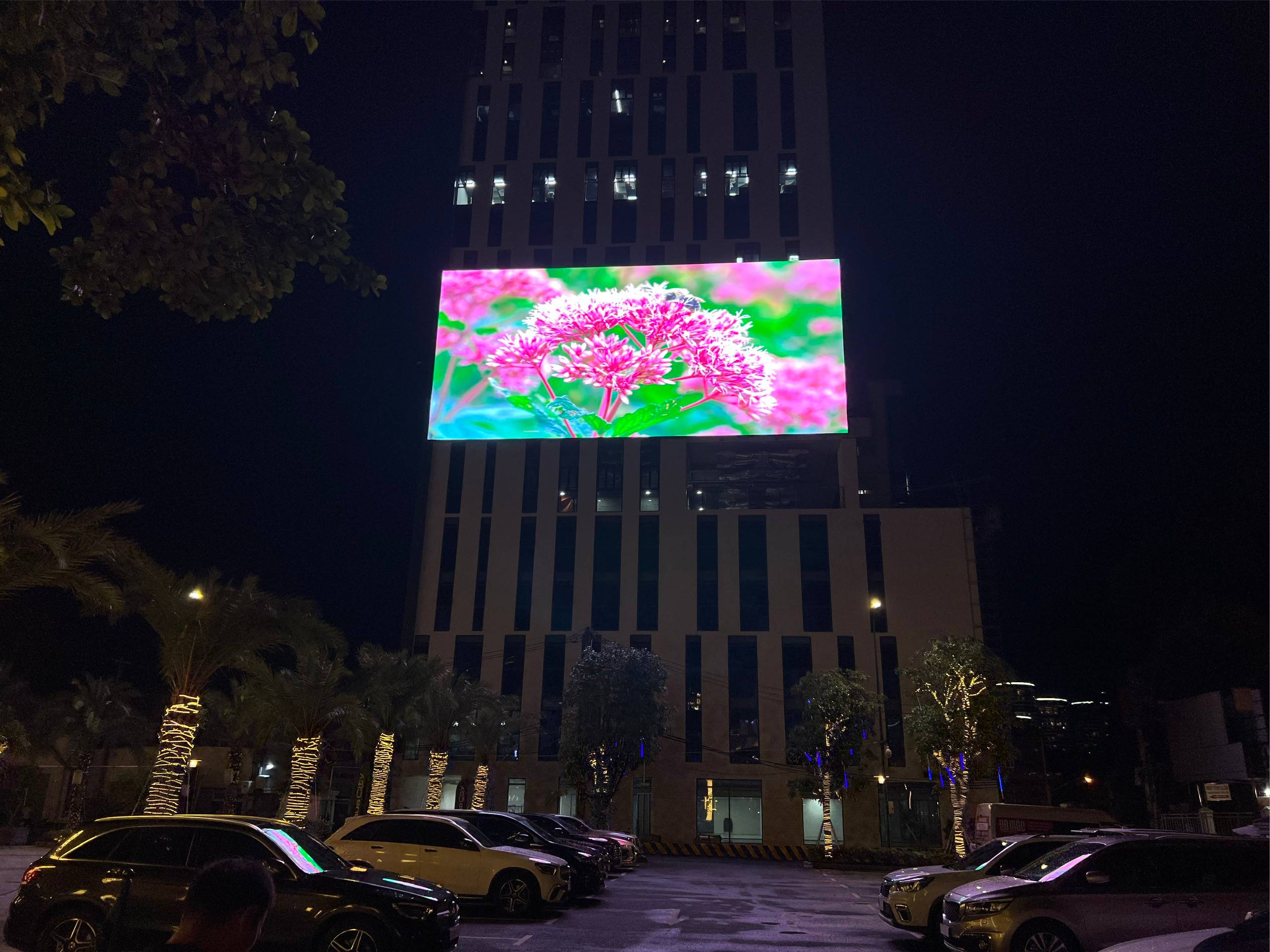 Dự an màn hình LED P5 - Tòa nhà Novaland, TP HCM